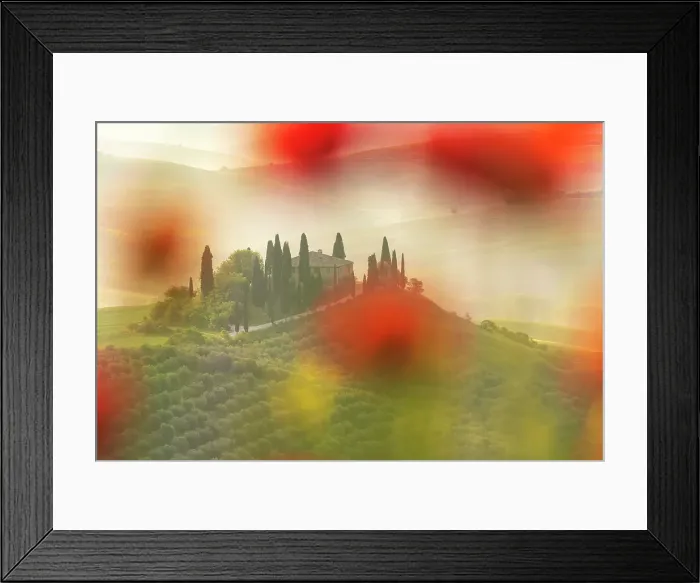 Framed Print : Podere Belvedere peaking through some poppies on a sunny spring morning. Val d'Orcia, Tuscany Framed Print : Podere Belvedere peaking through some poppies on a sunny spring morning. Val d'Orcia, Tuscany