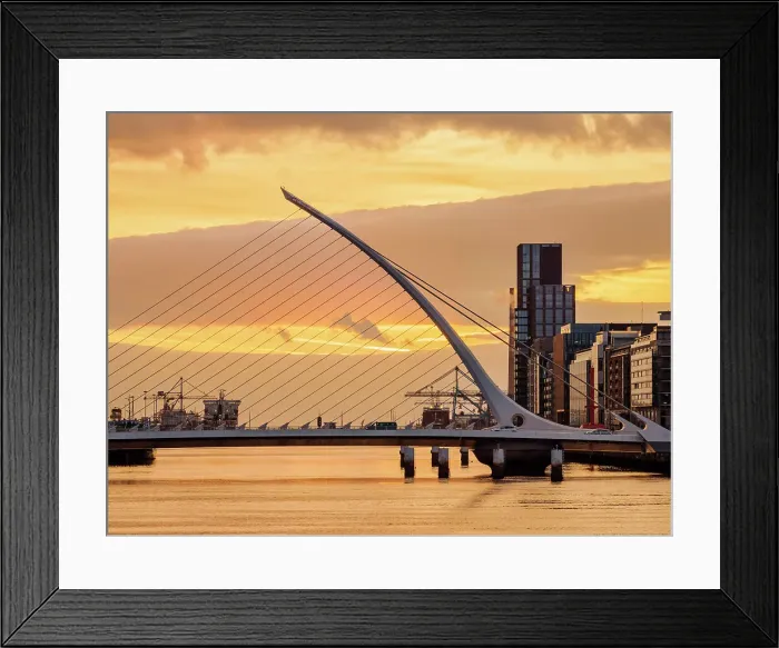 Framed Print : Samuel Beckett Bridge at dawn, Dublin, Ireland Framed Print : Samuel Beckett Bridge at dawn, Dublin, Ireland