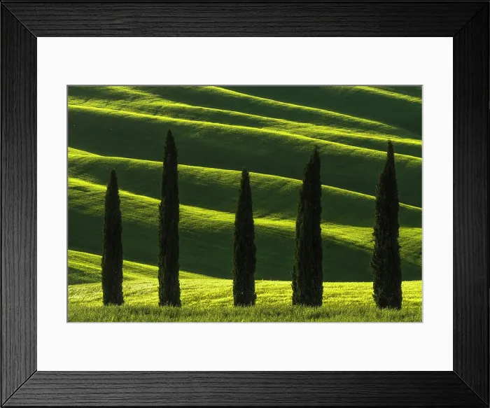Framed Print : Cypress trees standing against the rolling hills during a spring sunset. Val d'Orcia, Tuscany, Italy Framed Print : Cypress trees standing against the rolling hills during a spring sunset. Val d'Orcia, Tuscany, Italy