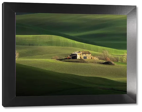 A lonely farmhouse is taking the late afternoon light during a winter day. Val d'Orcia, Tuscany, Italy
