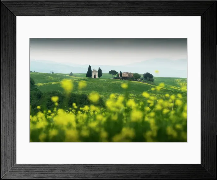 Framed Print : The iconic Chapel of Madonna di Vitaleta appearing through some mustard flowers on a gloomy spring morning. Val d'Orcia, Tuscany, Italy Framed Print : The iconic Chapel of Madonna di Vitaleta appearing through some mustard flowers on a gloomy spring morning. Val d'Orcia, Tuscany, Italy