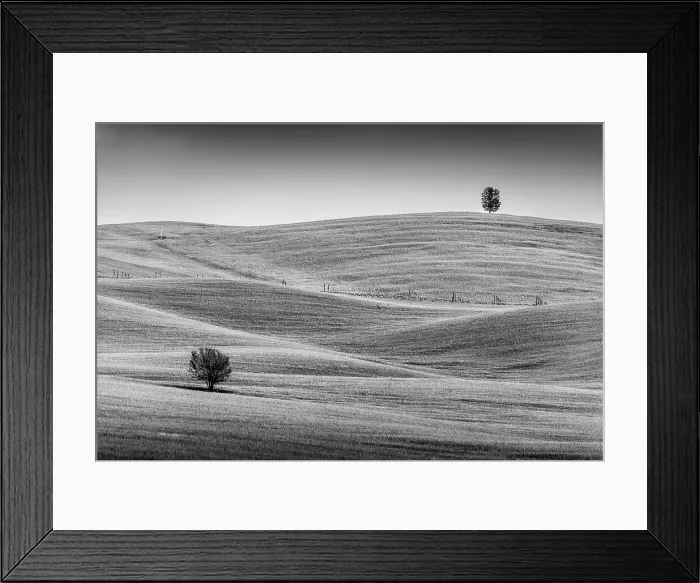 Framed Print : A couple of lonely trees stand out from the bare landscape among the rolling hills of Tuscany. Val d'Orcia, Italy Framed Print : A couple of lonely trees stand out from the bare landscape among the rolling hills of Tuscany. Val d'Orcia, Italy
