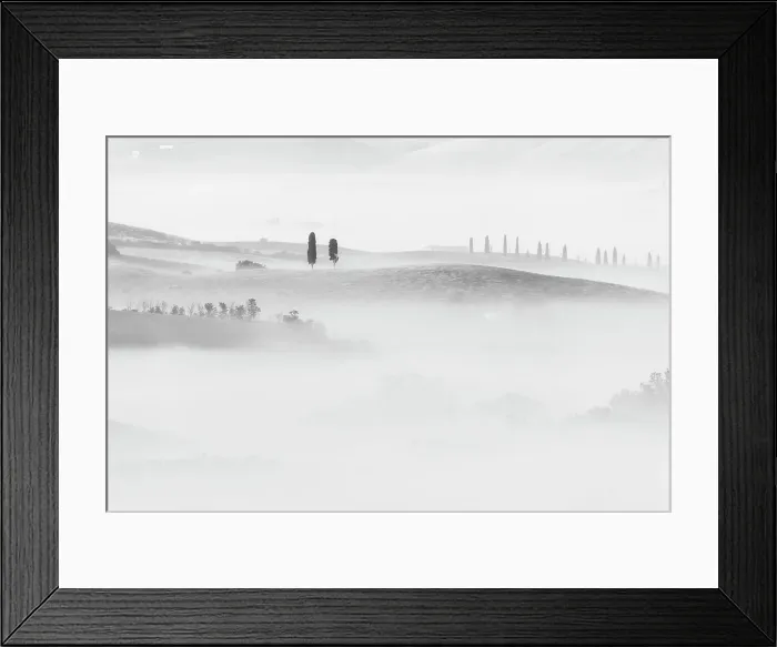 Framed Print : Cypress trees appearing through the sea of fog in the rolling hills of Tuscany. Val d'Orcia, Italy Framed Print : Cypress trees appearing through the sea of fog in the rolling hills of Tuscany. Val d'Orcia, Italy