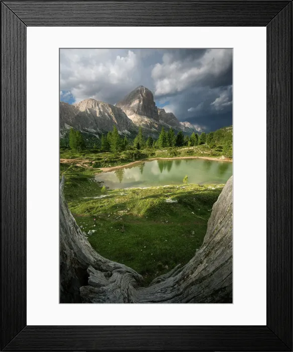 Framed Print : A dead wood chunk frames a lovely summer scenes with the Limides lake and the Tofana rising in the background. Dolomites, Italy