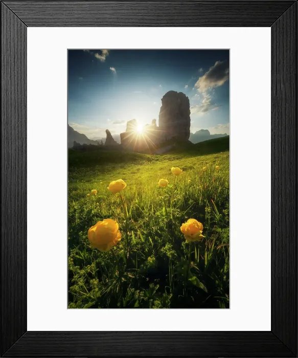 Framed Print : The Cinque Torri in the Ampezzo Dolomites with globeflowers in the foreground Dolomites, Italy Framed Print : The Cinque Torri in the Ampezzo Dolomites with globeflowers in the foreground Dolomites, Italy