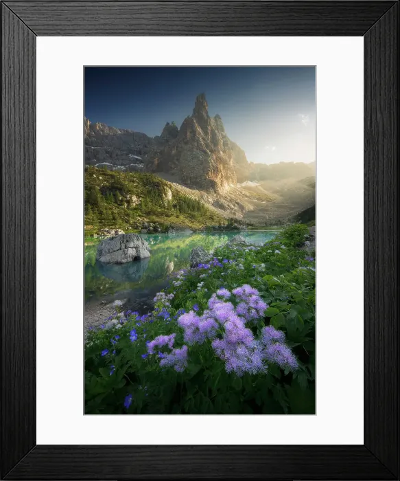 Framed Print : Some wildflowers standing at the feet of the Dito di Dio, together with the turquoise Sorapiss lake, Ampezzo Dolomites. Dolomites, Italy Framed Print : Some wildflowers standing at the feet of the Dito di Dio, together with the turquoise Sorapiss lake, Ampezzo Dolomites. Dolomites, Italy