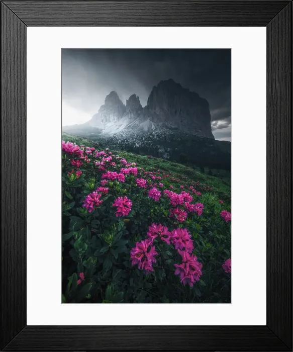 Framed Print : A dark edit for this image taken during a gloomy summer afternoon at the Sella Pass. Dolomites, Italy Framed Print : A dark edit for this image taken during a gloomy summer afternoon at the Sella Pass. Dolomites, Italy