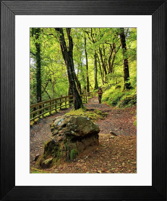 Framed Print : Forest Trail to The Spinc, Glendalough, County Wicklow, Ireland Framed Print : Forest Trail to The Spinc, Glendalough, County Wicklow, Ireland