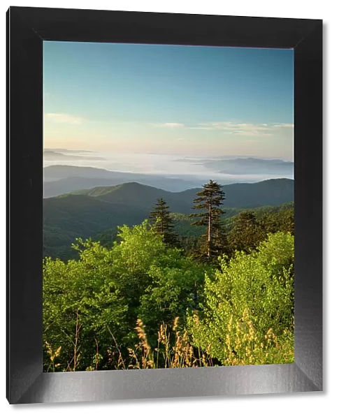 Great Smoky Mountains National Park, North Carolina, USA