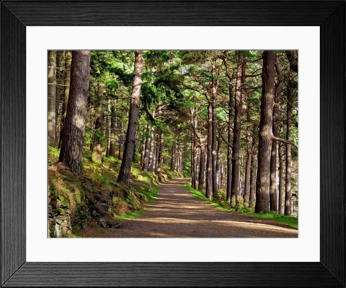 Framed Print : Forest Trail by the Upper Lake, Glendalough, County Wicklow, Ireland Framed Print : Forest Trail by the Upper Lake, Glendalough, County Wicklow, Ireland