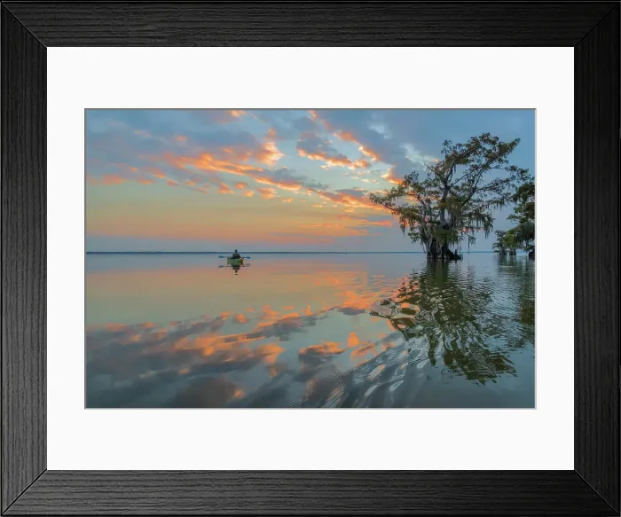 Framed Print : USA, Louisiana, Atchafalaya Basin, , Lake Fausse Pointe State Park Framed Print : USA, Louisiana, Atchafalaya Basin, , Lake Fausse Pointe State Park