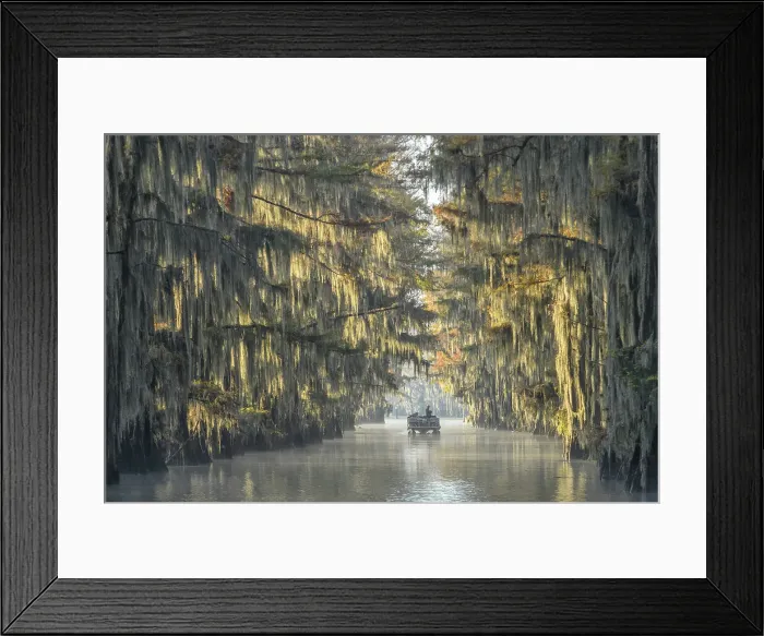Framed Print : USA, Texas, Uncertain, Caddo Lake, Government Ditch Framed Print : USA, Texas, Uncertain, Caddo Lake, Government Ditch