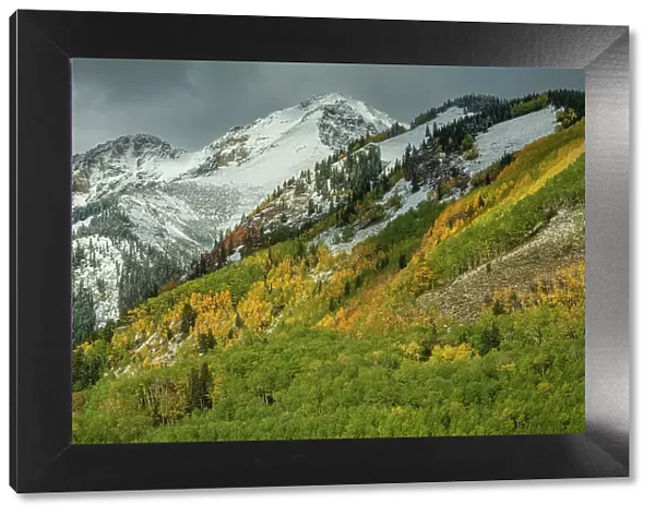 USA, Colorado, Rocky Mountains, San Juan Mountains, San Juan National Forest, Telluride, Highway 145, snow capped peak in autumn