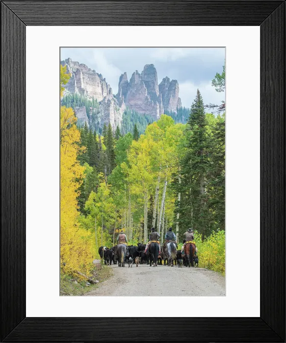 Framed Print : USA, Colorado, Uncompahgre national forest, cowboys in autumn at Owl Creek pass Framed Print : USA, Colorado, Uncompahgre national forest, cowboys in autumn at Owl Creek pass