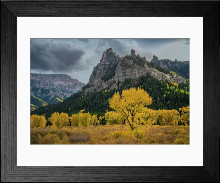 Framed Print : USA, Colorado, Uncompahgre, National Forest, Owl Pass, autumn, foliage, Box Elder, american, west, western, culture, horses, herding, old west, landscape, scenic, mountains Framed Print : USA, Colorado, Uncompahgre, National Forest, Owl Pass, autumn, foliage, Box Elder, american, west, western, culture, horses, herding, old west, landscape, scenic, mountains