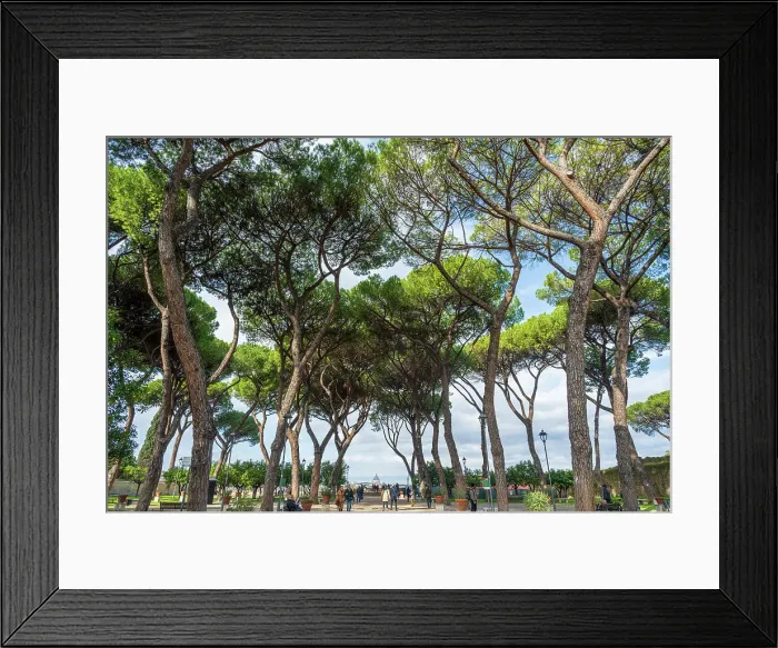 Framed Print : Europe, Italy, Rome. View through the Orange Garden (Giardino degli Aranci) on Aventine hill towards the cupola of San Pietro, Saint Peter's Framed Print : Europe, Italy, Rome. View through the Orange Garden (Giardino degli Aranci) on Aventine hill towards the cupola of San Pietro, Saint Peter's