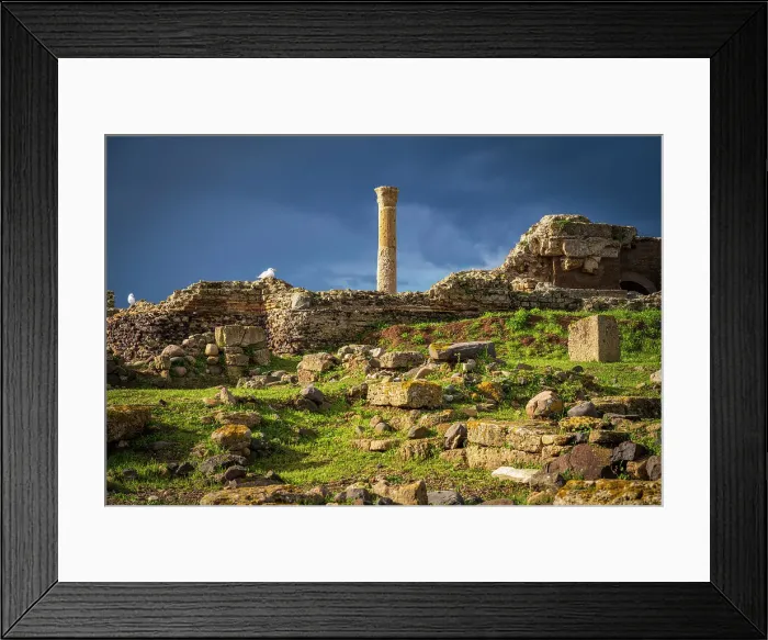 Framed Print : Europe, Italy, Sardinia. The archeologic area of the ancient phoenician town of Nora near to Pula (and Cagliari) Framed Print : Europe, Italy, Sardinia. The archeologic area of the ancient phoenician town of Nora near to Pula (and Cagliari)