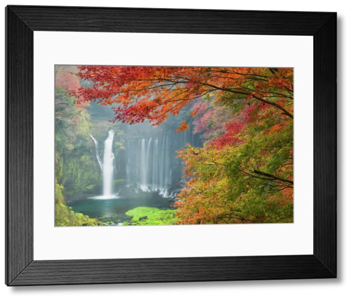 Framed Print : Shiraito Falls in Autumn, Fujinomiya, Shizuoka Prefecture, Japan