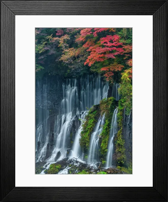 Framed Print : Shiraito Falls in Autumn, Fujinomiya, Shizuoka Prefecture, Japan Framed Print : Shiraito Falls in Autumn, Fujinomiya, Shizuoka Prefecture, Japan