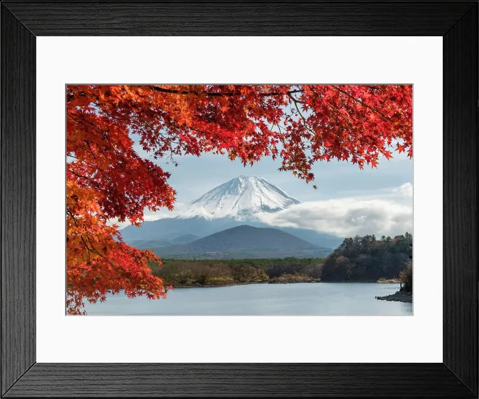 Framed Print : Mt. Fuji Framed by Red Maple Tree, Lake Shoji, Fujikawaguchiko, Yamanashi Prefecture, Japan Framed Print : Mt. Fuji Framed by Red Maple Tree, Lake Shoji, Fujikawaguchiko, Yamanashi Prefecture, Japan
