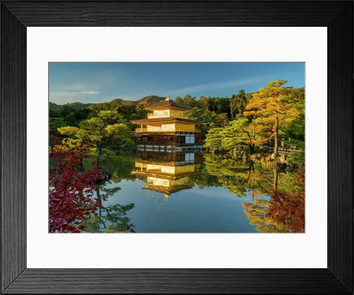 Framed Print : The Golden Pavilion, Kinkaku-ji, Kyoto, Japan Framed Print : The Golden Pavilion, Kinkaku-ji, Kyoto, Japan