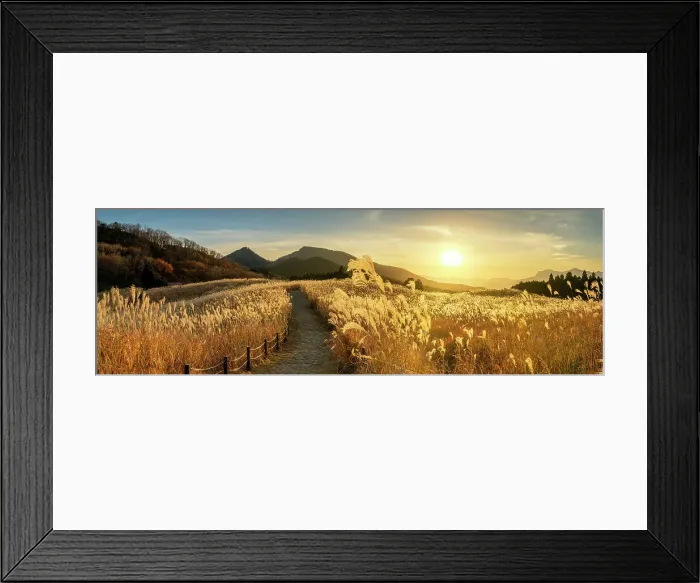 Framed Print : Footpath Through Pampas Grasses, Soni Highlands, East Nara Prefecture, Japan