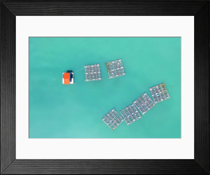 Framed Print : Vietnam, Phu Yen, an aerial view of rafts used for fishing, float in a lagoon near Phu Yen