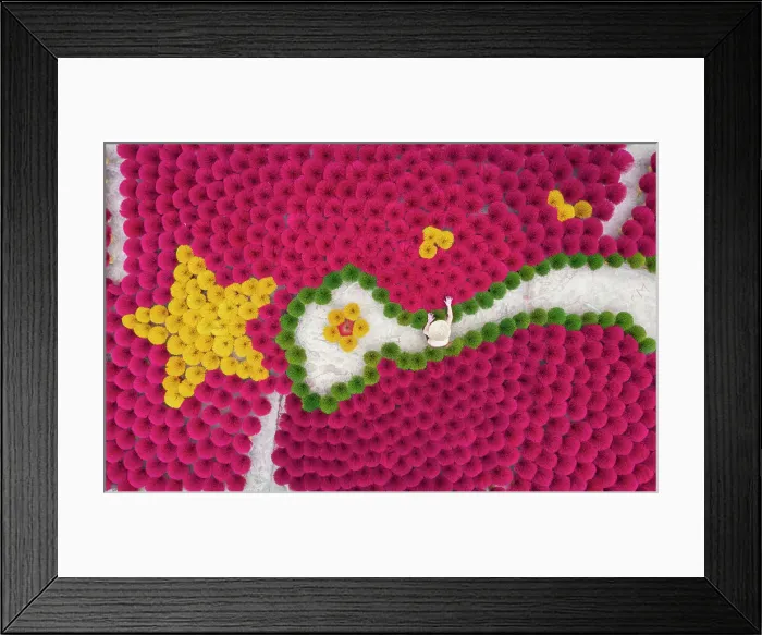 Framed Print : Vietnam, Hanoi, Quang Phu Cau village, a woman lays out thousands of Incense sticks Framed Print : Vietnam, Hanoi, Quang Phu Cau village, a woman lays out thousands of Incense sticks