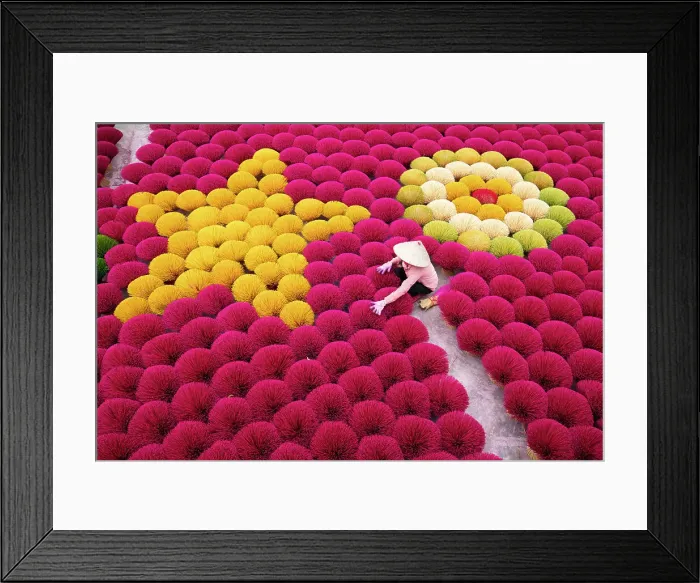 Framed Print : Vietnam, Hanoi, Quang Phu Cau village, a woman lays out Incense sticks Framed Print : Vietnam, Hanoi, Quang Phu Cau village, a woman lays out Incense sticks