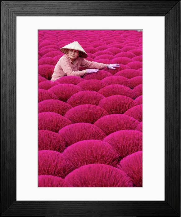Framed Print : Vietnam, Hanoi, Quang Phu Cau village, a woman surrounded by Incense sticks Framed Print : Vietnam, Hanoi, Quang Phu Cau village, a woman surrounded by Incense sticks