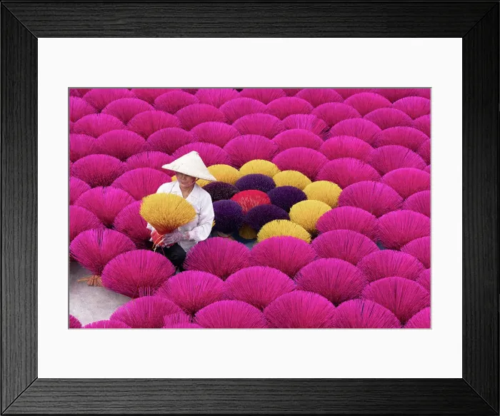 Framed Print : Vietnam, Hanoi, Quang Phu Cau village, a woman lays out Incense sticks Framed Print : Vietnam, Hanoi, Quang Phu Cau village, a woman lays out Incense sticks