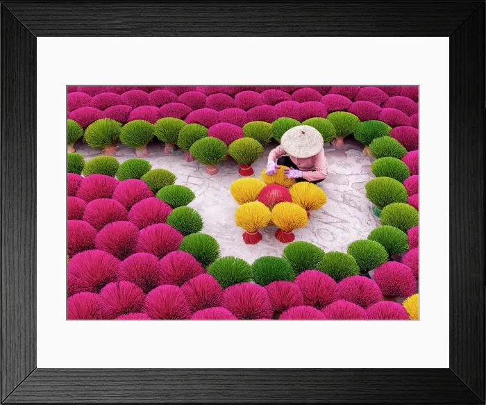 Framed Print : Vietnam, Hanoi, Quang Phu Cau village, a woman lays out Incense sticks Framed Print : Vietnam, Hanoi, Quang Phu Cau village, a woman lays out Incense sticks
