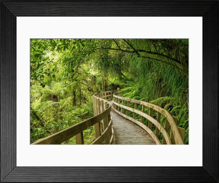 Framed Print : Footpath Through Hokitika Gorge, near Hokitika, South Island, New Zealand