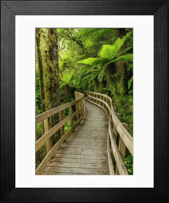 Framed Print : ootpath Through Hokitika Gorge, near Hokitika, South Island, New Zealand Framed Print : ootpath Through Hokitika Gorge, near Hokitika, South Island, New Zealand