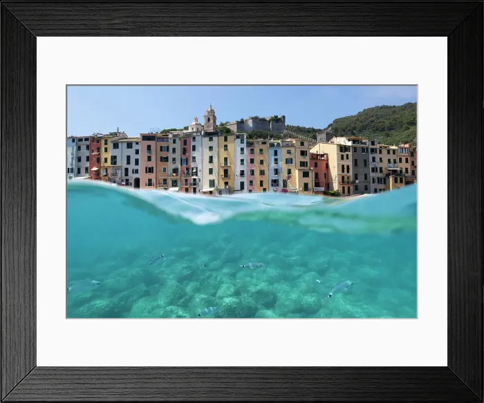 Framed Print : fish swim in the sea of Portovenree, Portovenere, Regional Park of Portovenre, La Spezia province, Liguria, Italy