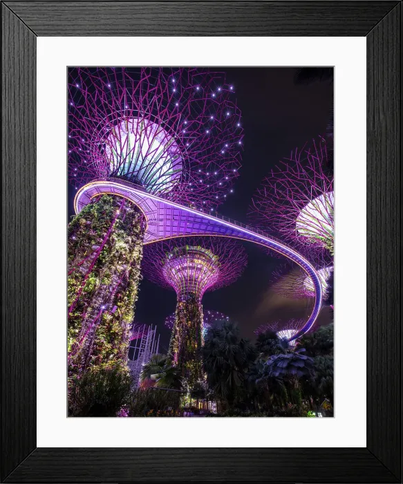Framed Print : Singapore, Singapore City, Gardens by the Bay, Supertrees, & Marina Bay Sands Framed Print : Singapore, Singapore City, Gardens by the Bay, Supertrees, & Marina Bay Sands