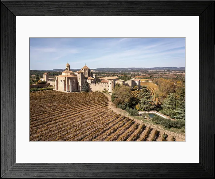 Framed Print : Spain, Catalonia, Tarragona, Poblet, Elevated view of the historical complex Framed Print : Spain, Catalonia, Tarragona, Poblet, Elevated view of the historical complex