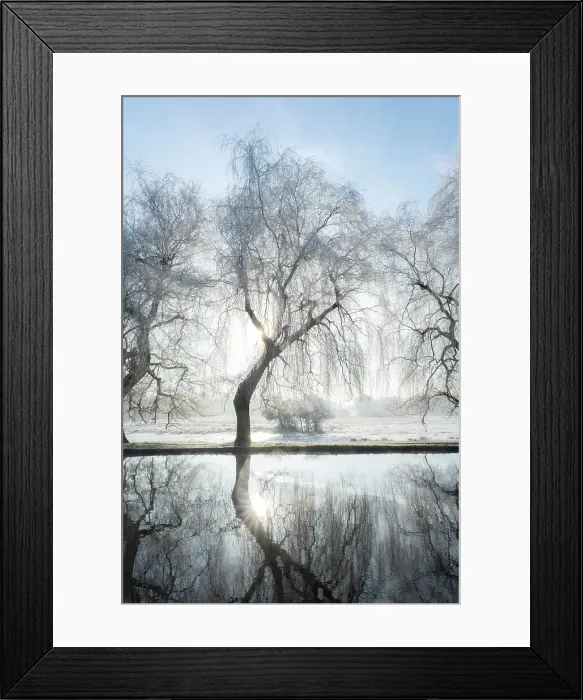 Framed Print : River Wey on a frosty morning, Guildford, Surrey, England Framed Print : River Wey on a frosty morning, Guildford, Surrey, England