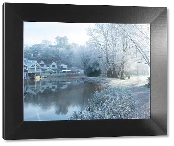 River Wey on a frosty morning, Guildford, Surrey, England