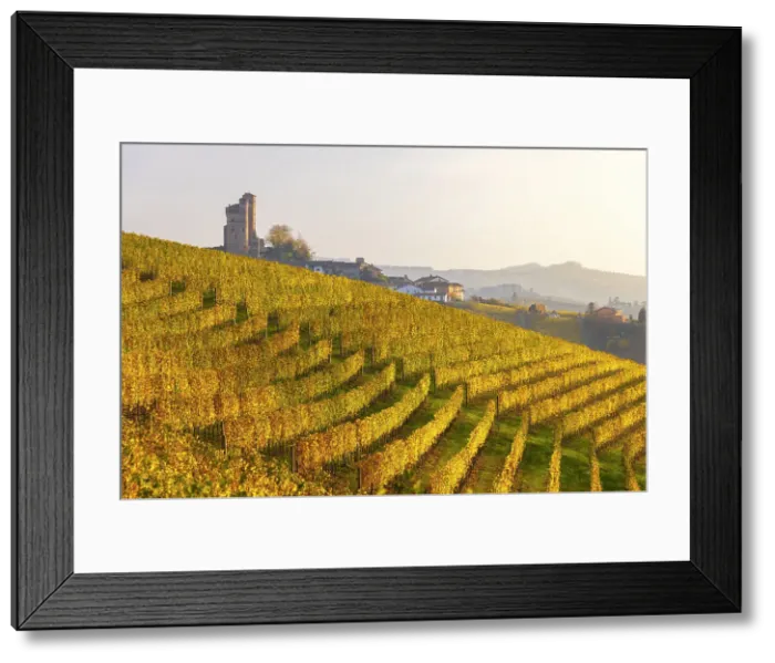 Framed Print : Serralunga D‚AoAlba and its castle with vineyards at sunset during autumn, Cuneo, Langhe and Roero, Piedmont, Italy Framed Print : Serralunga D‚AoAlba and its castle with vineyards at sunset during autumn, Cuneo, Langhe and Roero, Piedmont, Italy