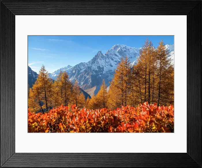 Framed Print : Mont Blanc Massif from the path to the Bertone Refuge in autumn. Ferret Valley, Courmayeur, Aosta district, Aosta Valley, Italy Framed Print : Mont Blanc Massif from the path to the Bertone Refuge in autumn. Ferret Valley, Courmayeur, Aosta district, Aosta Valley, Italy