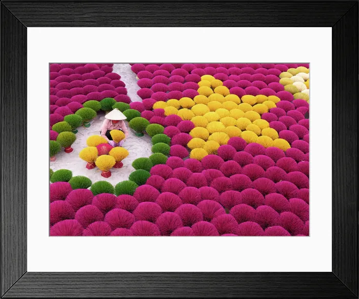 Framed Print : Vietnam, Hanoi, Quang Phu Cau village, a woman lays out Incense sticks Framed Print : Vietnam, Hanoi, Quang Phu Cau village, a woman lays out Incense sticks