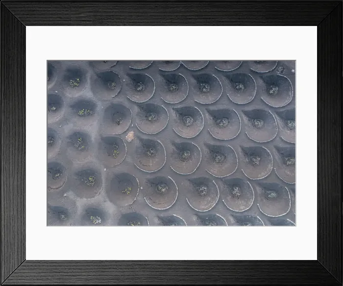 Framed Print : a typical vineyard, La Geria, Lanzarote, Canary Island, Spain Framed Print : a typical vineyard, La Geria, Lanzarote, Canary Island, Spain