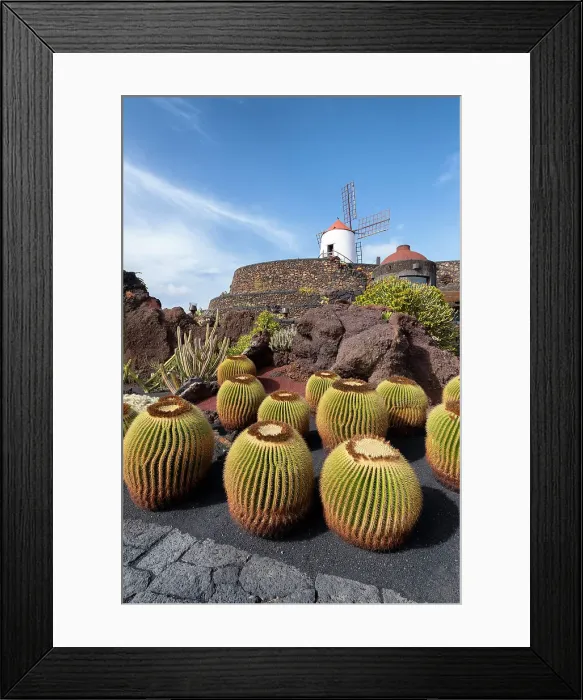 Framed Print : Jardin de Cactus, garden designed by Cesar Manrique in Lanzarote, Canary Island, Spain Framed Print : Jardin de Cactus, garden designed by Cesar Manrique in Lanzarote, Canary Island, Spain