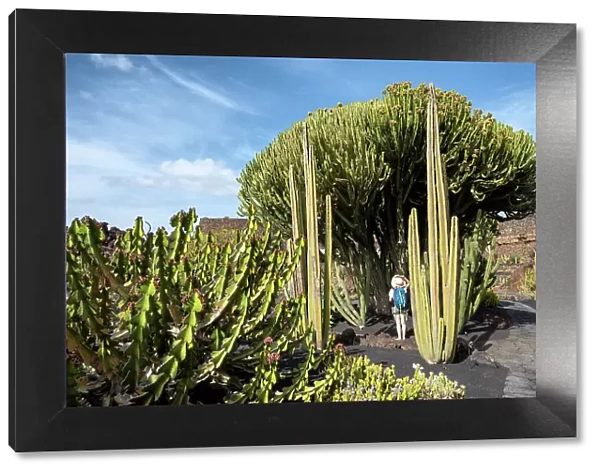 Girl visits the Jardin de Cactus, garden designed by Cesar Manrique in Lanzarote, Lanzarote, Canary Island, Spain (MR)