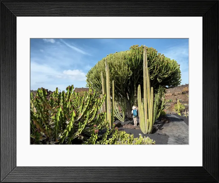 Framed Print : Girl visits the Jardin de Cactus, garden designed by Cesar Manrique in Lanzarote, Lanzarote, Canary Island, Spain (MR)