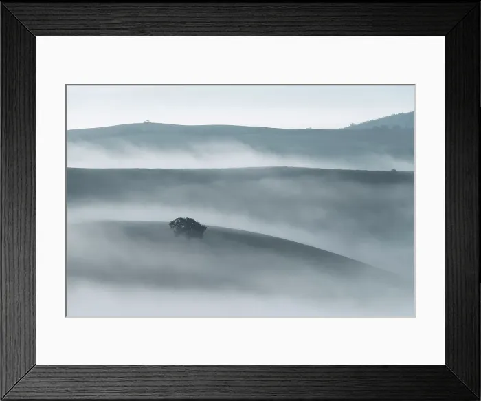 Framed Print : A lonely chestnut tree appearing through the sea of fog on a humid autumn morning in the rolling hills of Tuscany. Val d'Orcia, Italy Framed Print : A lonely chestnut tree appearing through the sea of fog on a humid autumn morning in the rolling hills of Tuscany. Val d'Orcia, Italy
