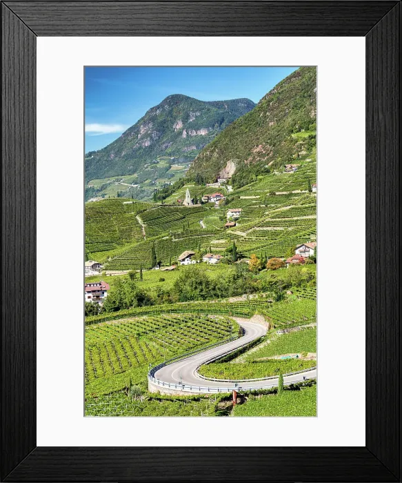 Framed Print : S-Shape Road Through Vineyards, near Bolzano, South Tyrol, Italy Framed Print : S-Shape Road Through Vineyards, near Bolzano, South Tyrol, Italy