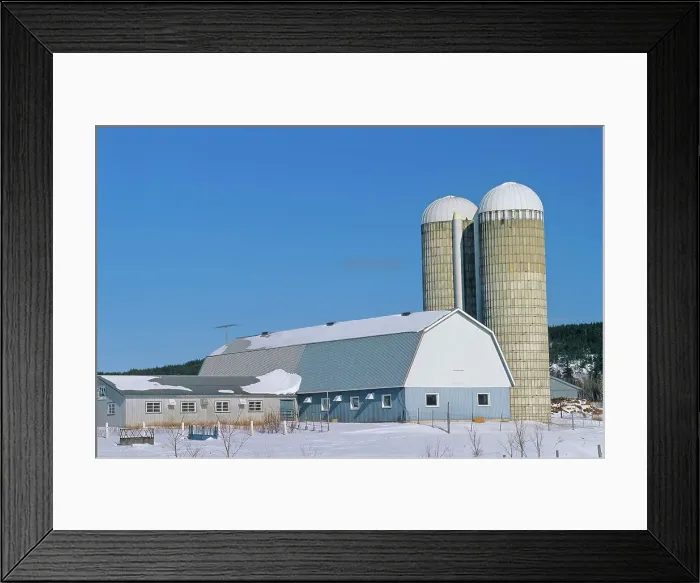 Framed Print : Barn and silo on dairy farm in winter Ville-Marie, Quebec, Canada Framed Print : Barn and silo on dairy farm in winter Ville-Marie, Quebec, Canada