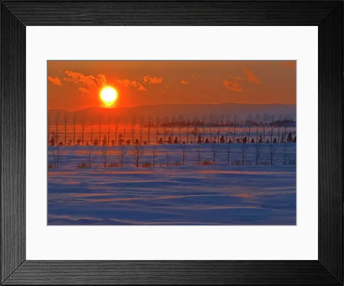 Framed Print : Suneset and trees on windy day La Pocatiere, Quebec, Canada Framed Print : Suneset and trees on windy day La Pocatiere, Quebec, Canada